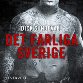 Det farliga Sverige (ljudbok) av Dick Sundevall