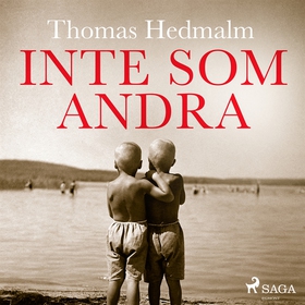 Inte som andra (ljudbok) av Thomas Hedmalm