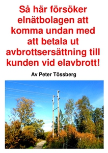 Så här försöker elnätbolagen att komma undan me