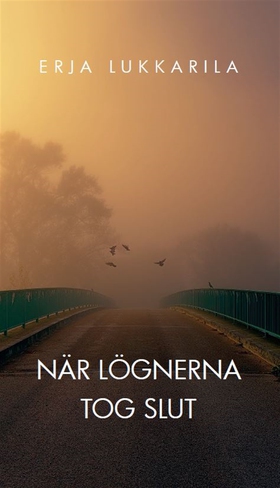 När lögnerna tog slut (e-bok) av Erja Lukkarila