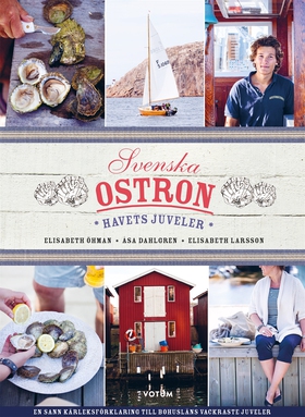Svenska ostron – havets juveler (e-bok) av Elis