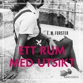 Ett rum med utsikt