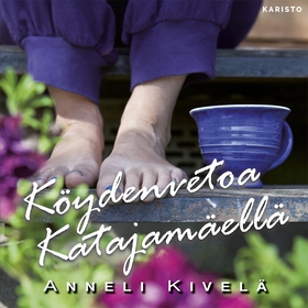 Köydenvetoa Katajamäellä (ljudbok) av Anneli Ki