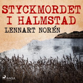 Styckmordet i Halmstad (ljudbok) av Lennart Nor