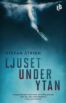 Ljuset under ytan (e-bok) av Stefan Stridh