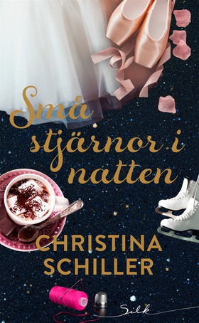 Små stjärnor i natten (e-bok) av Christina Schi