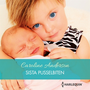 Sista pusselbiten (ljudbok) av Caroline Anderso