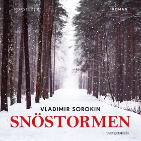 Snöstormen (ljudbok) av Vladimir Sorokin