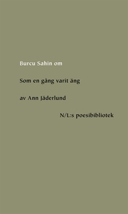 Om Som en gång varit äng av Ann Jäderlund (e-bo