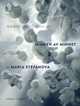 Om Minnen av minnet av Maria Stepanova (e-bok) 