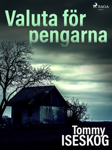 Valuta för pengarna (e-bok) av Tommy Iseskog