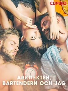 Arkitekten, bartendern och jag (e-bok) av Cupid