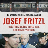 Josef Fritzl, och fyra andra brott som chockade världen
