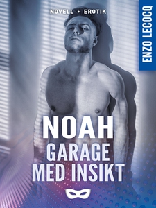 Garage med insikt (e-bok) av Enzo Lecocq, Enzo