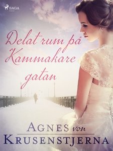 Delat rum på Kammakaregatan (e-bok) av Agnes vo