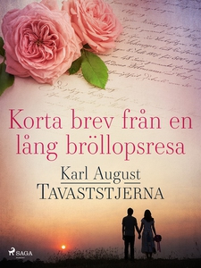 Korta brev från en lång bröllopsresa (e-bok) av
