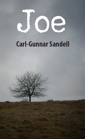 Joe (e-bok) av Carl-Gunnar Sandell