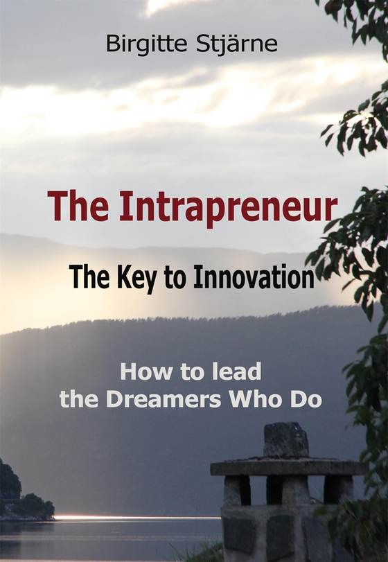 The Intrapreneur - The Key to Innovation (e-bok) av Birgitte Stjärne