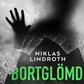 Bortglömd (ljudbok) av Niklas Lindroth