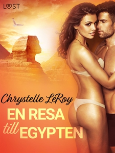 En resa till Egypten - erotisk novell (e-bok) a
