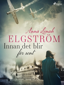 Innan det blir för sent (e-bok) av Anna Lenah E