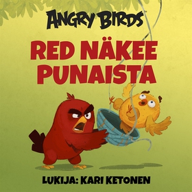 Angry Birds: Red näkee punaista (ljudbok) av Sa