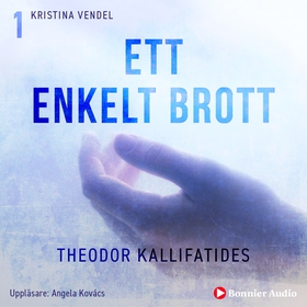 Ett enkelt brott (ljudbok) av Theodor Kallifati