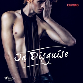 In Disguise (ljudbok) av Cupido