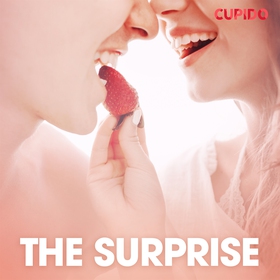 The Surprise (ljudbok) av Cupido