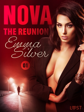 Nova 1: The Reunion - Erotic Short Story (e-bok