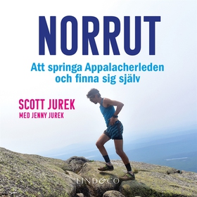 Norrut : att springa Appalacherleden och finna 