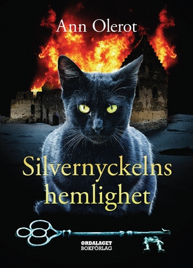 Silvernyckelns hemlighet (e-bok) av Ann Olerot