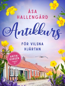 Antikkurs för vilsna hjärtan (e-bok) av Åsa Hal