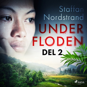 Under floden - del 2 (ljudbok) av Staffan Nords