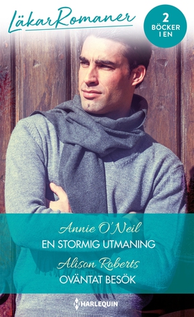 En stormig utmaning/Oväntat besök (e-bok) av Al
