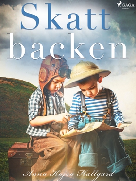 Skattbacken (e-bok) av Anna Kajsa Hallgard