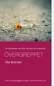 Övergreppet (e-bok) av Ulla Bolinder