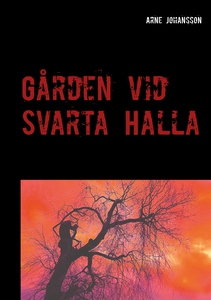 Gården vid Svarta Halla (e-bok) av Arne Johanss