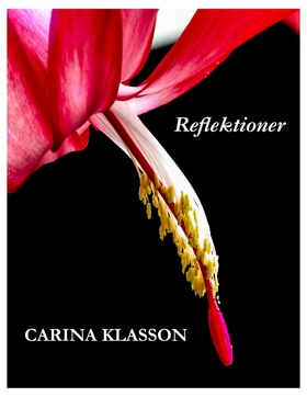 Reflektioner (e-bok) av Carina Klasson