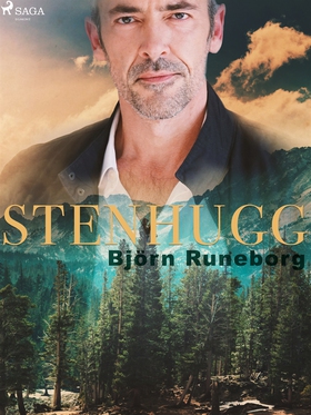 Stenhugg (e-bok) av Björn Runeborg
