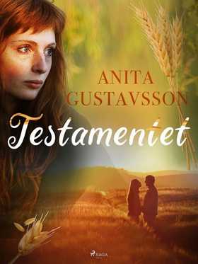 Testamentet (e-bok) av Anita Gustavsson