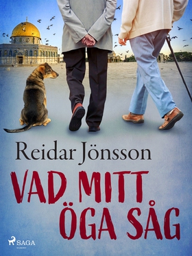 Vad mitt öga såg (e-bok) av Reidar Jönsson