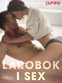 Lärobok i sex