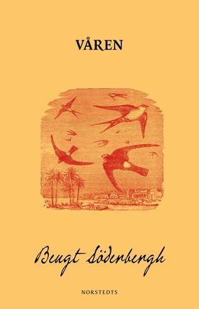 Våren (e-bok) av Bengt Söderbergh