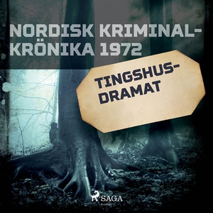 Tingshusdramat (ljudbok) av Diverse