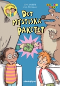 Det mystiska paketet