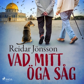 Vad mitt öga såg (ljudbok) av Reidar Jönsson