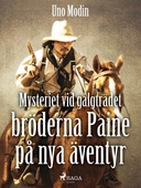 Mysteriet vid galgträdet : bröderna Paine på nya äventyr