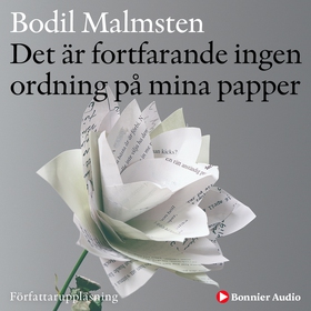 Det är fortfarande ingen ordning på mina papper