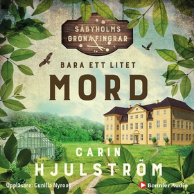 Bara ett litet mord (ljudbok) av Carin Hjulströ